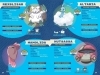 Buchcover und Innenansicht für das Buch: Pokémon Handbook: Stats and Facts o 400 Pokémon in he Paldea region!