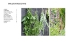 Buchcover und Innenansicht für das Buch: Gartenmomente: Kräuter im Garten