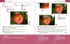 Buchcover und Innenansicht für das Buch: Photoshop Elements 2026 - Bild für Bild erklärt