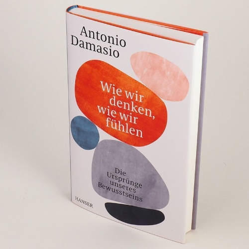 Buchcover und Innenansicht für das Buch: Feeling and Knowing