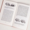 Buchcover und Innenansicht für das Buch: Feeling and Knowing