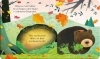 Buchcover und Innenansicht für das Buch: Guck mal, wer da ist! Im Herbst