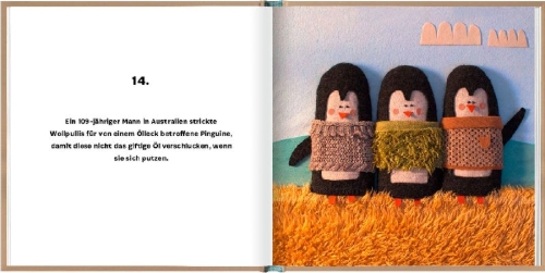 Buchcover und Innenansicht für das Buch: Rok dobrých správ (A Year of Good News)