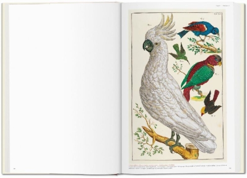 Buchcover und Innenansicht für das Buch: Seba. Cabinet of Natural Curiosities