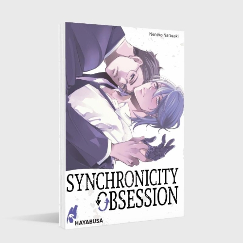Buchcover und Innenansicht für das Buch: Synchronicity Obsession