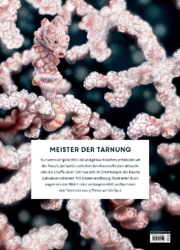 Buchcover und Innenansicht für das Buch: Unsichtbar