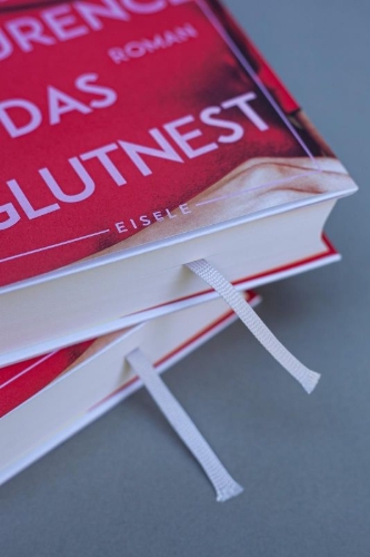 Buchcover und Innenansicht für das Buch: The Fire-Dwellers
