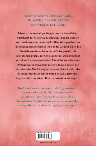 Buchcover und Innenansicht für das Buch: Woven Kingdom #2 von 5