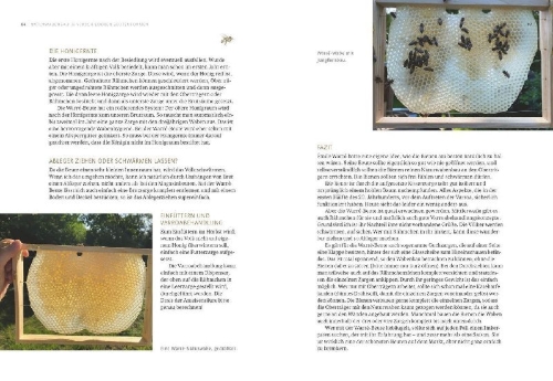 Buchcover und Innenansicht für das Buch: Imkern mit Naturwabenbau