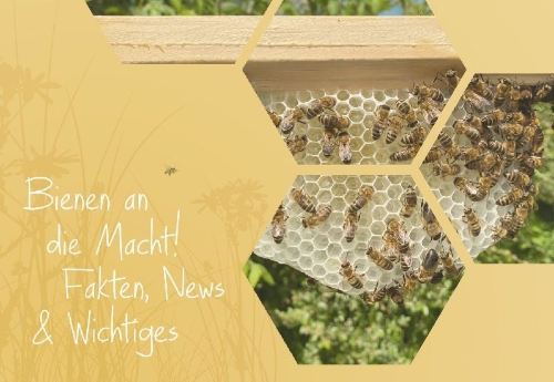 Buchcover und Innenansicht für das Buch: Imkern mit Naturwabenbau