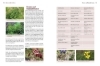 Buchcover und Innenansicht für das Buch: Biogärten gestalten