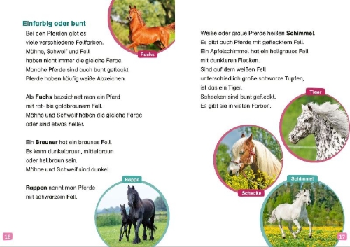 Buchcover und Innenansicht für das Buch: WAS IST WAS Erstes Lesen. Pferde und Ponys