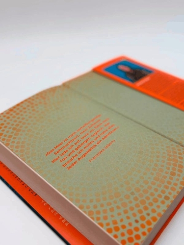 Buchcover und Innenansicht für das Buch: Über der Brandung