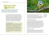 Buchcover und Innenansicht für das Buch: Vögel füttern im Garten