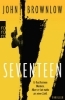 Buchcover und Innenansicht für das Buch: Seventeen