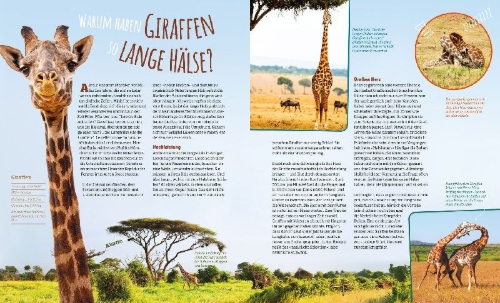 Buchcover und Innenansicht für das Buch: Das große WAS IST WAS Antwortbuch Tierwelt