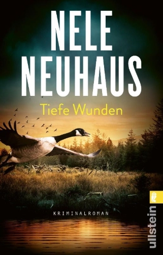 Buchcover und Innenansicht für das Buch: Tiefe Wunden