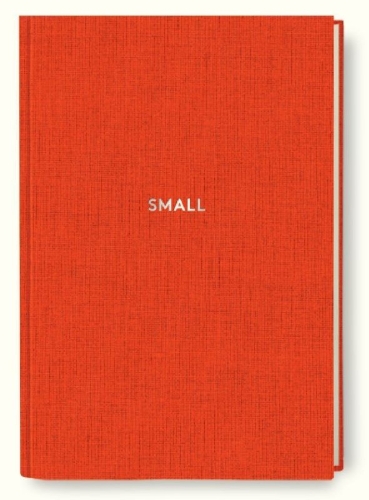 Buchcover und Innenansicht für das Buch: Diogenes Notes - small