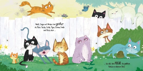 Buchcover und Innenansicht für das Buch: Miau, MIAUUU! Wer ist die größte Katze im Buch?