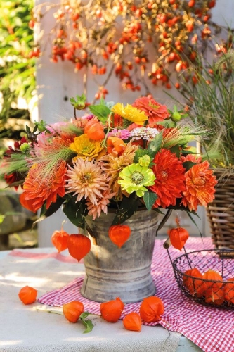 Buchcover und Innenansicht für das Buch: Herbst
