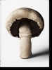 Buchcover und Innenansicht für das Buch: The Gourmand's Mushroom