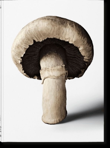 Buchcover und Innenansicht für das Buch: The Gourmand's Mushroom