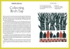 Buchcover und Innenansicht für das Buch: Seasonal Folktales