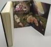Buchcover und Innenansicht für das Buch: Aitutaki-Blues