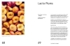 Buchcover und Innenansicht für das Buch: Foundations of Flavor: The Noma Guide to Fermentation