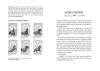 Buchcover und Innenansicht für das Buch: Charlottes Traumpferd 2: Gefahr auf dem Reiterhof