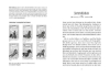 Buchcover und Innenansicht für das Buch: Charlottes Traumpferd 1: Charlottes Traumpferd