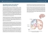 Buchcover und Innenansicht für das Buch: Neurozentriertes Yoga