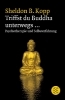 Buchcover und Innenansicht für das Buch: Triffst du Buddha unterwegs...