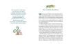 Buchcover und Innenansicht für das Buch: Lichterland 2. Die Reise durch die magischen Berge