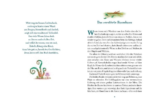 Buchcover und Innenansicht für das Buch: Lichterland 2. Die Reise durch die magischen Berge