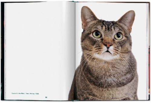 Buchcover und Innenansicht für das Buch: Walter Chandoha. Cats. Photographs 1942-2018