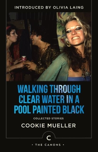 Buchcover und Innenansicht für das Buch: Walking Through Clear Water In a Pool Painted Black
