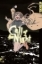 Buchcover und Innenansicht für das Buch: Call of the Night 06