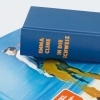 Buchcover und Innenansicht für das Buch: Switzy