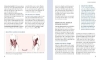 Buchcover und Innenansicht für das Buch: Yoga für einen flachen Bauch