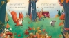 Buchcover und Innenansicht für das Buch: Stop that Squirrel