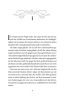 Buchcover und Innenansicht für das Buch: Stadt der Brüder und Entführer (Stadt der Magier 4)