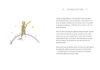 Buchcover und Innenansicht für das Buch: The Little Prince (Collector's Edition)