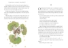 Buchcover und Innenansicht für das Buch: The Little Prince (Collector's Edition)