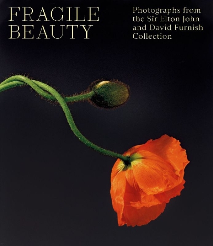 Buchcover und Innenansicht für das Buch: Fragile Beauty