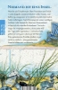 Buchcover und Innenansicht für das Buch: Nordseesommer