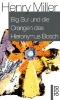 Buchcover und Innenansicht für das Buch: Big Sur und die Orangen des Hieronymus Bosch