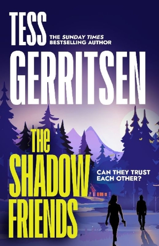 Buchcover und Innenansicht für das Buch: The Shadow Friends