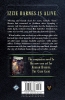Buchcover und Innenansicht für das Buch: Bullets in the Dark