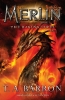 Buchcover und Innenansicht für das Buch: The Raging Fires
